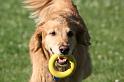 Dogs_09-07-05_0003