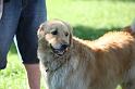 Dogs_09-07-05_0019