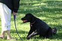 Dogs_09-07-05_0021