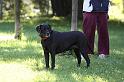Dogs_09-07-05_0058